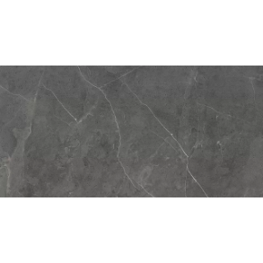 Berrys Graffite - porcelain (Polished, 24x48) tile